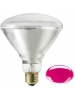 100W - BR38 - Pink - Flood - 130V - Symban 100W - BR38 - Pink - Flood - 130V - Symban
