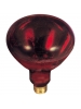 250W - BR40 -Teflon-Coated Red Heat Lamp - 120V - Medium Base