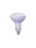 Neodymium - 65 Watt - 120 Volt - R30 Reflector Flood - Medium Base Neodymium - 65 Watt - 120 Volt - R30 Reflector Flood - Medium Base