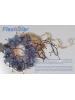 Flexi-Star Twinkling Spots Decorative Lighting System - FS4-1C05WC-14-5m