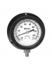 Gauges